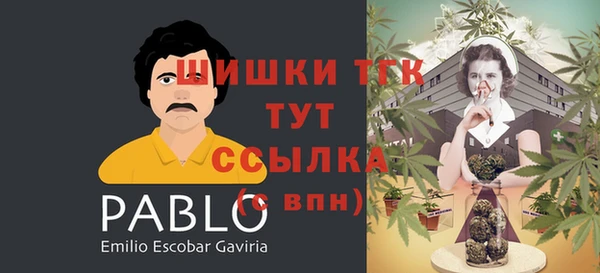 соль ск Вязьма