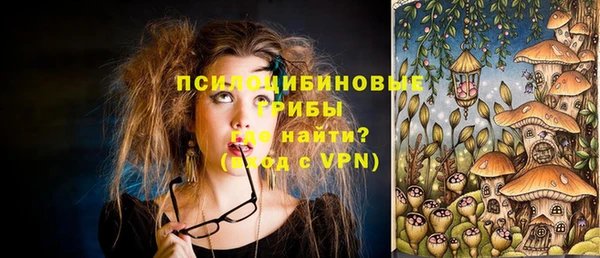 скорость Вяземский