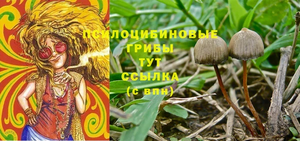 гашишное масло Горнозаводск