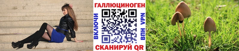 Галлюциногенные грибы Cubensis  блэк спрут сайт  маркетплейс какой сайт  Зеленогорск 